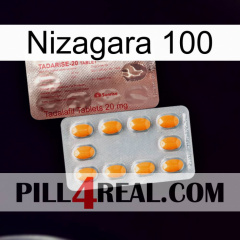 Nizagara 100 new13